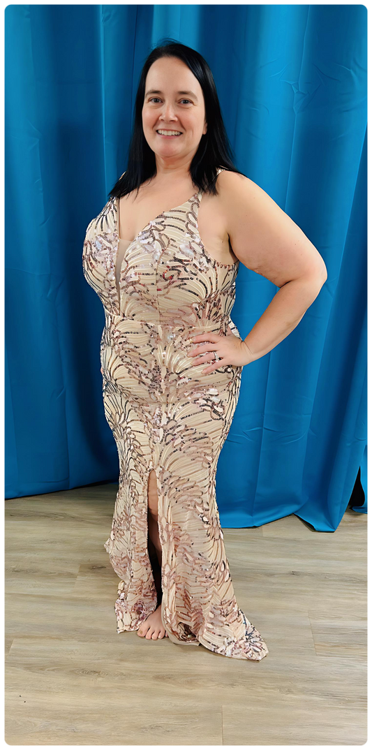 Ricarica PLUS SIZE MULTI COLOR SEQION MAXI DRESS